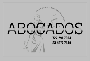 abogada.png
